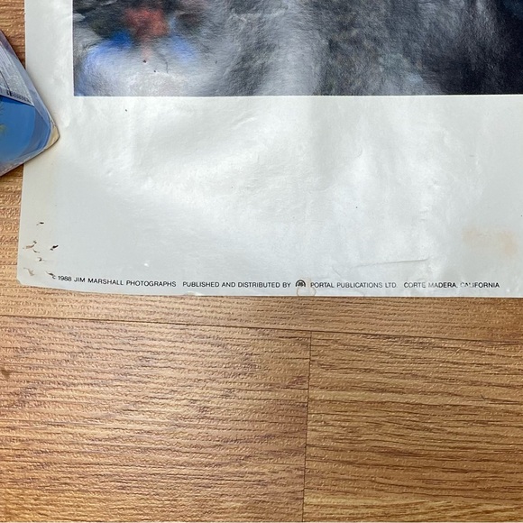 1988 Jim Morrison The Doors Litho Poster - Picture 7 of 9